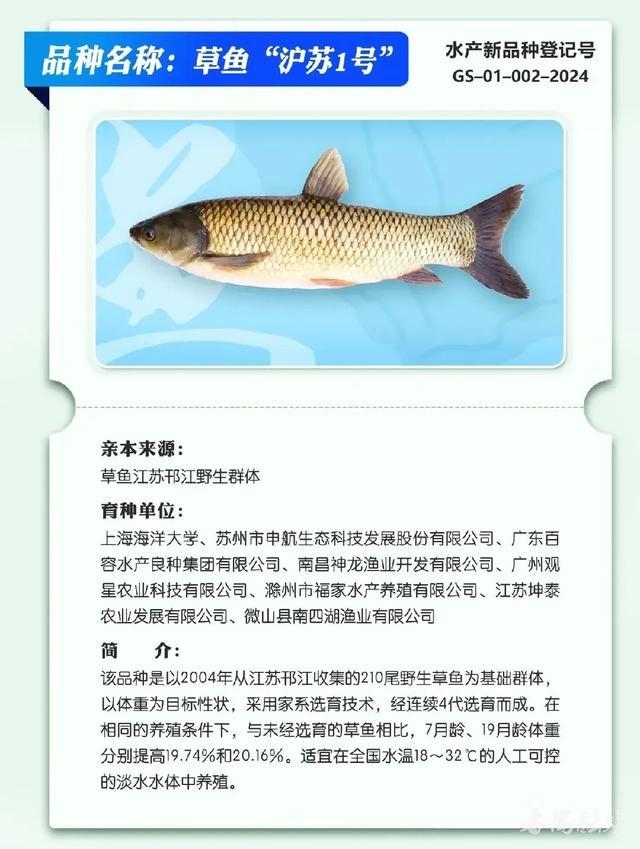 打造养殖“黄金三角”海大集团完善海外市场布局