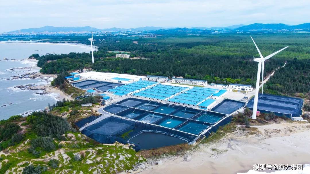 打造养殖“黄金三角”海大集团完善海外市场布局