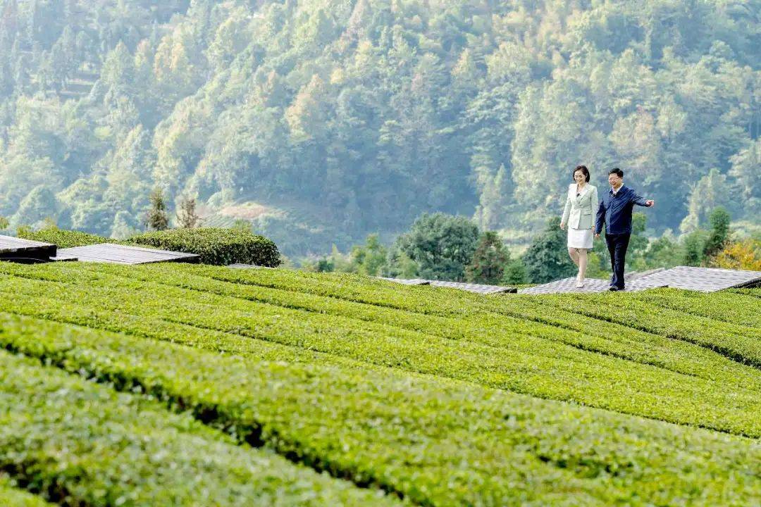 香飘四海 聚香成链——广西玉林香料产业发展见闻