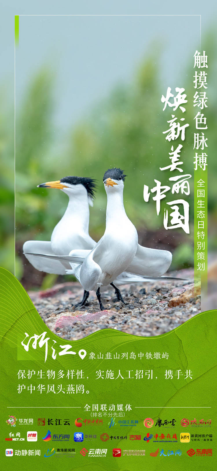 数据海报｜一组数字，感知美丽中国的“绿色密码”