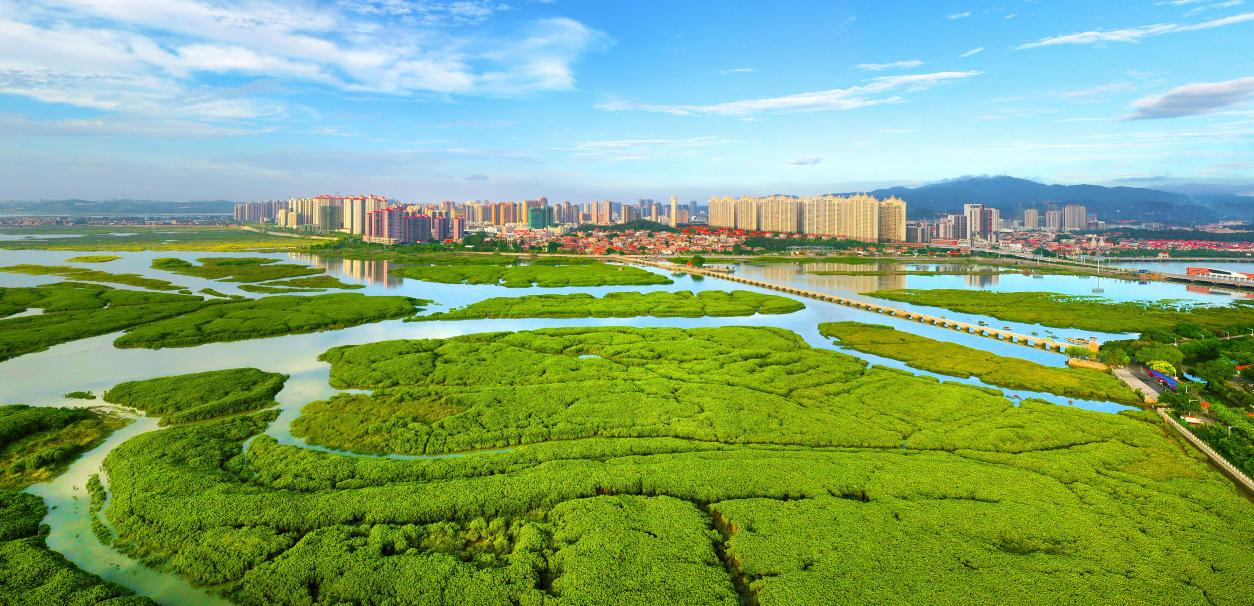 为人类可持续发展提供思想启迪——《习近平生态文明思想的中国实践与世界贡献》智库报告解析