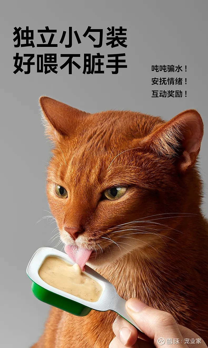 真金白银支持外贸企业 破除痛点解决难点