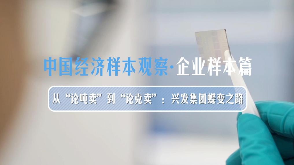 中国经济样本观察·县域样本篇丨上海华新:“快递第一镇”是怎样“炼成”的?