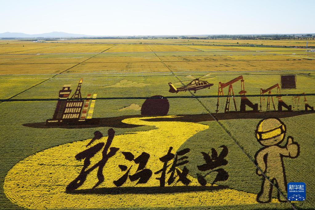 “北大仓”粮食产量连续15年全国居首 首次突破1600亿斤