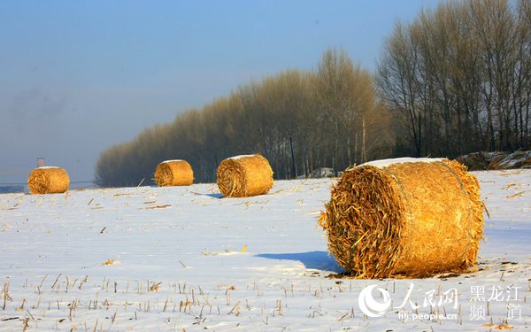 中国粮食安全“压舱石”省份实现“二十一连丰” 粮食产量首次突破1600亿斤