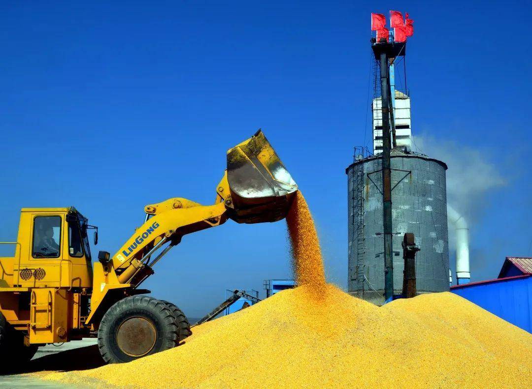 中国粮食安全“压舱石”省份实现“二十一连丰” 粮食产量首次突破1600亿斤