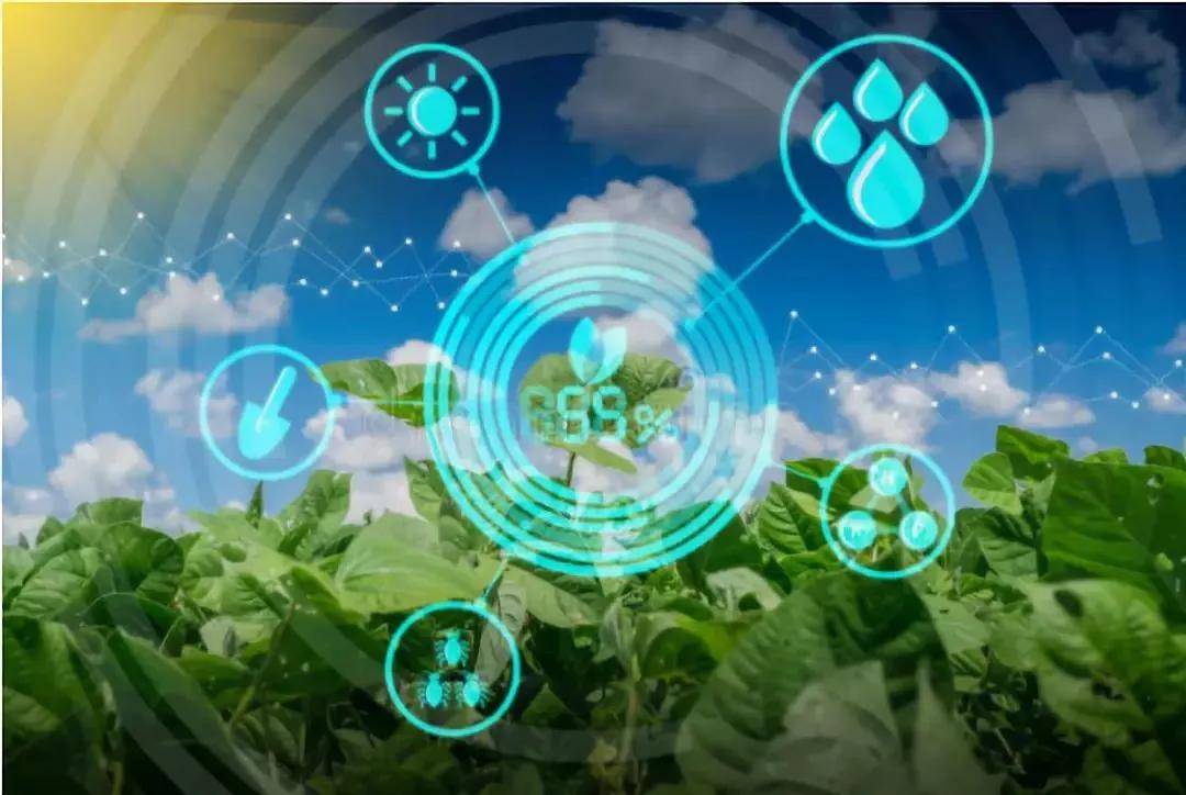 东软集团：筹划收购上海思芮100%股权 发力数字服务产业