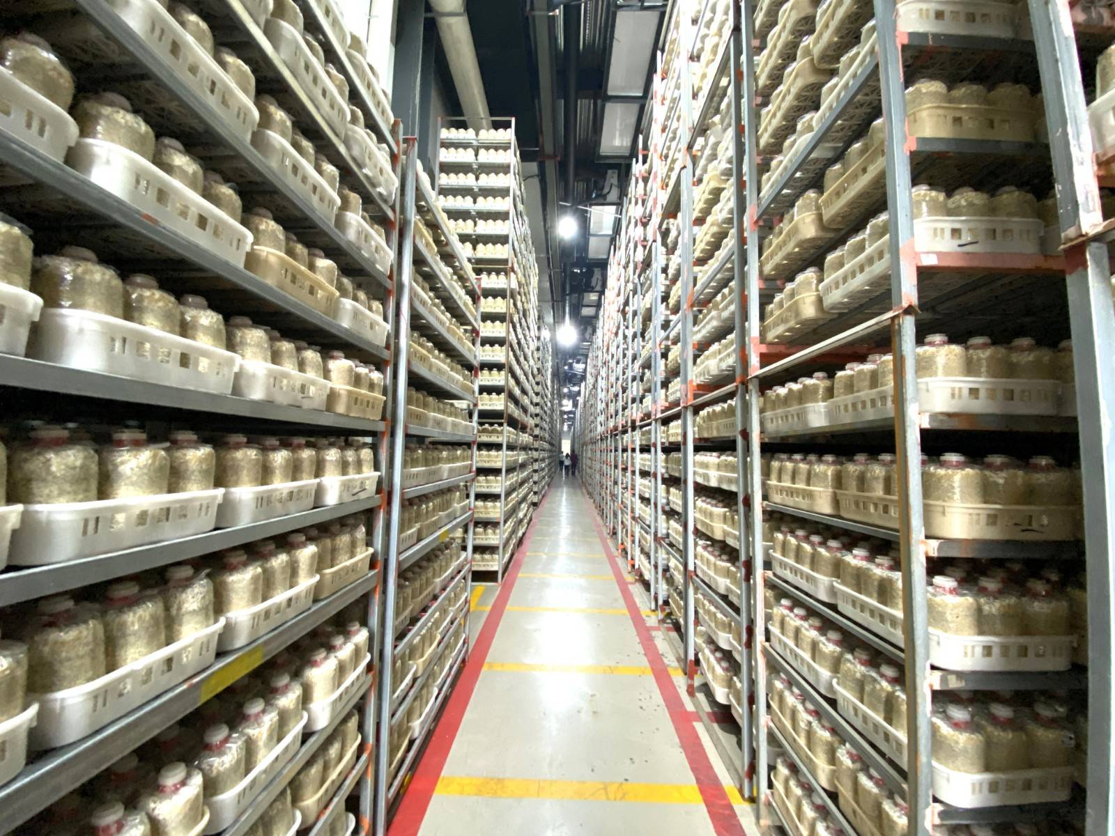 立足优势向“新”而行,看光大银行如何助力擘画“中部崛起”