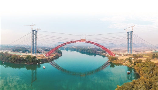 三峡柑橘搭上西部陆海新通道走向海外