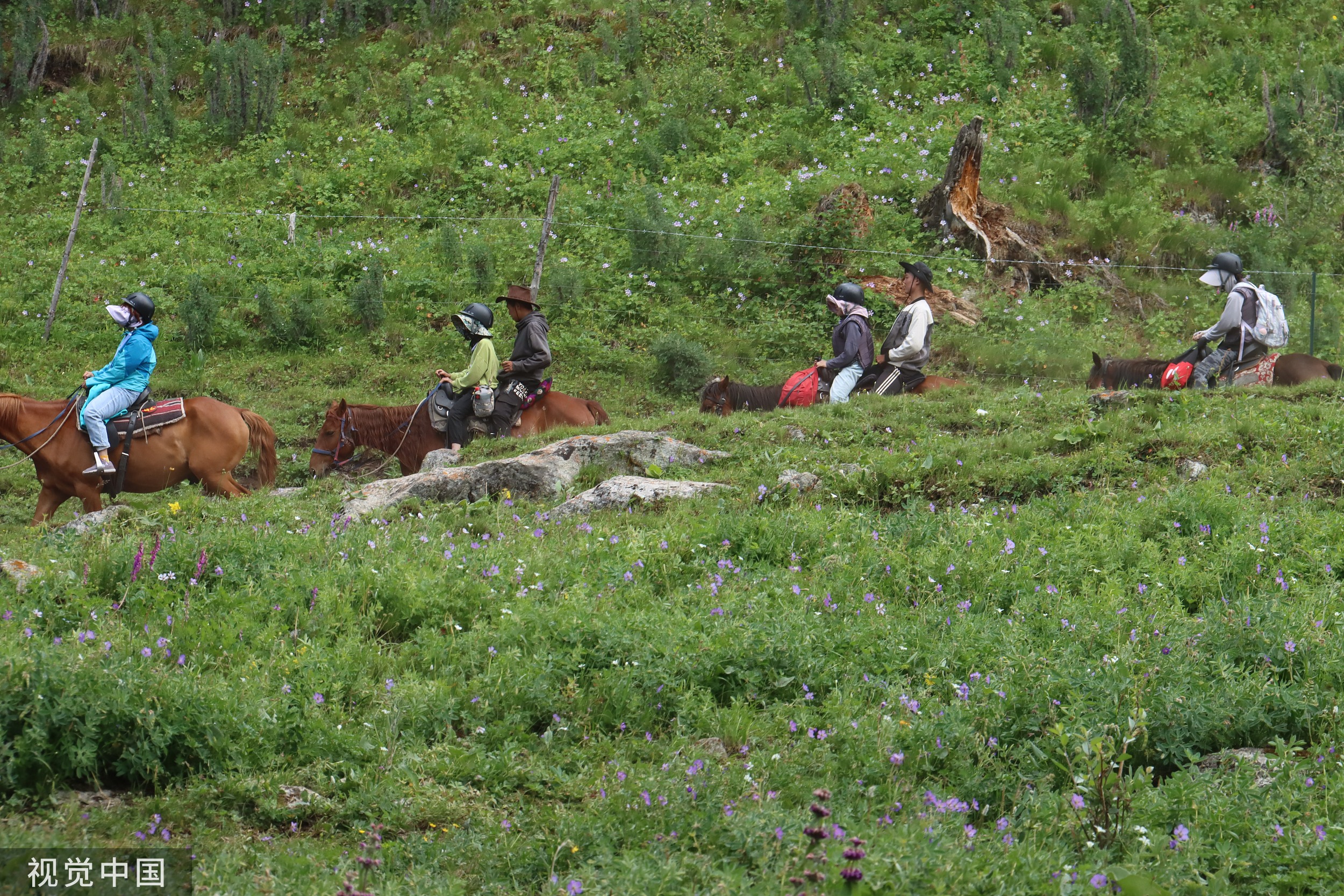 新疆今年接待游客突破3亿人次