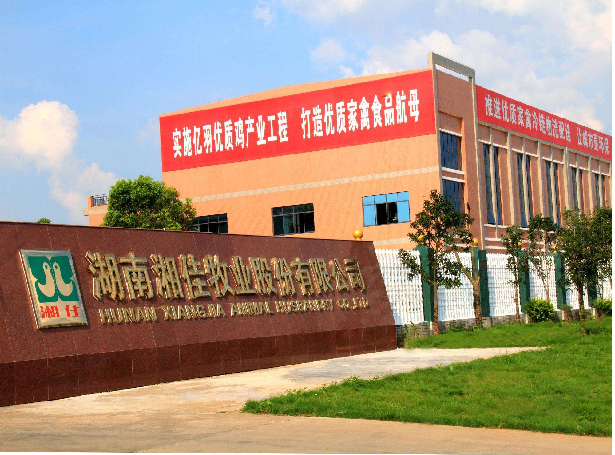 从家庭式养殖到区域农业龙头 湘佳股份做对了什么？