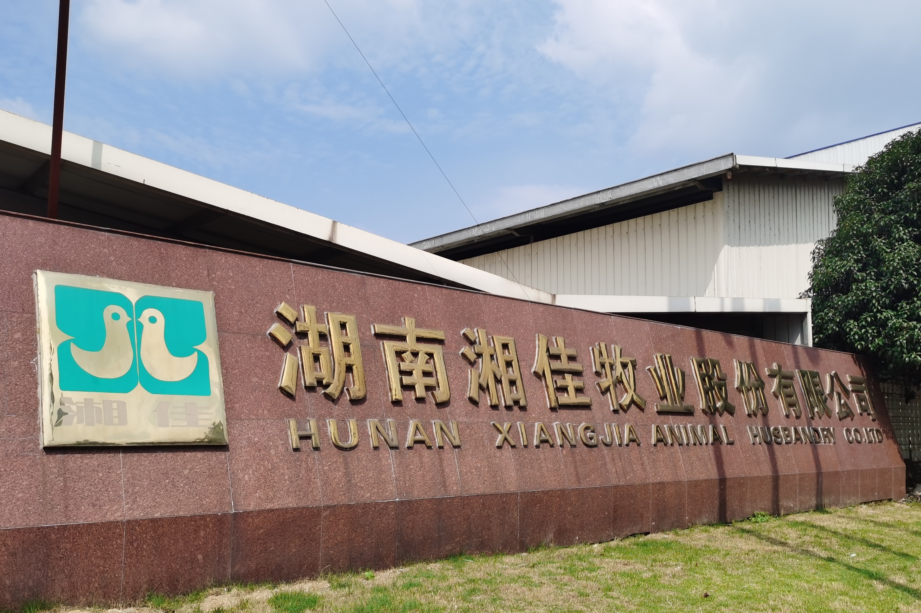 从家庭式养殖到区域农业龙头 湘佳股份做对了什么?