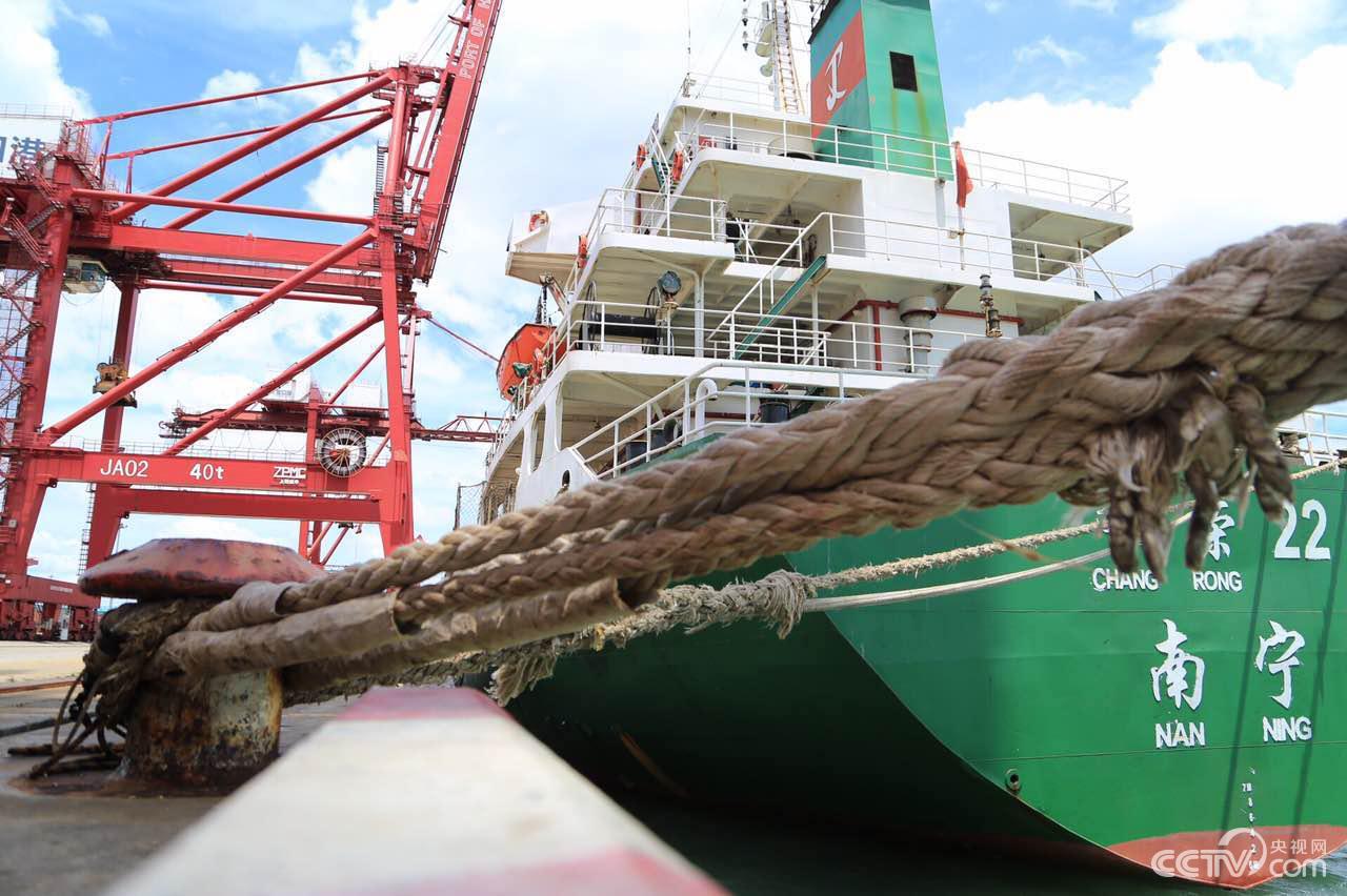 特稿|中斯“一带一路”合作点亮“印度洋明珠”