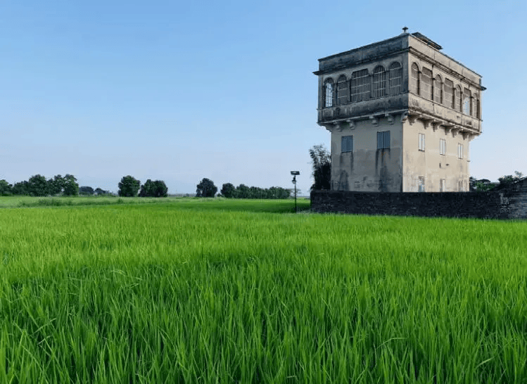 中国人寿集团：2024年绿色投资存量规模近5350亿元