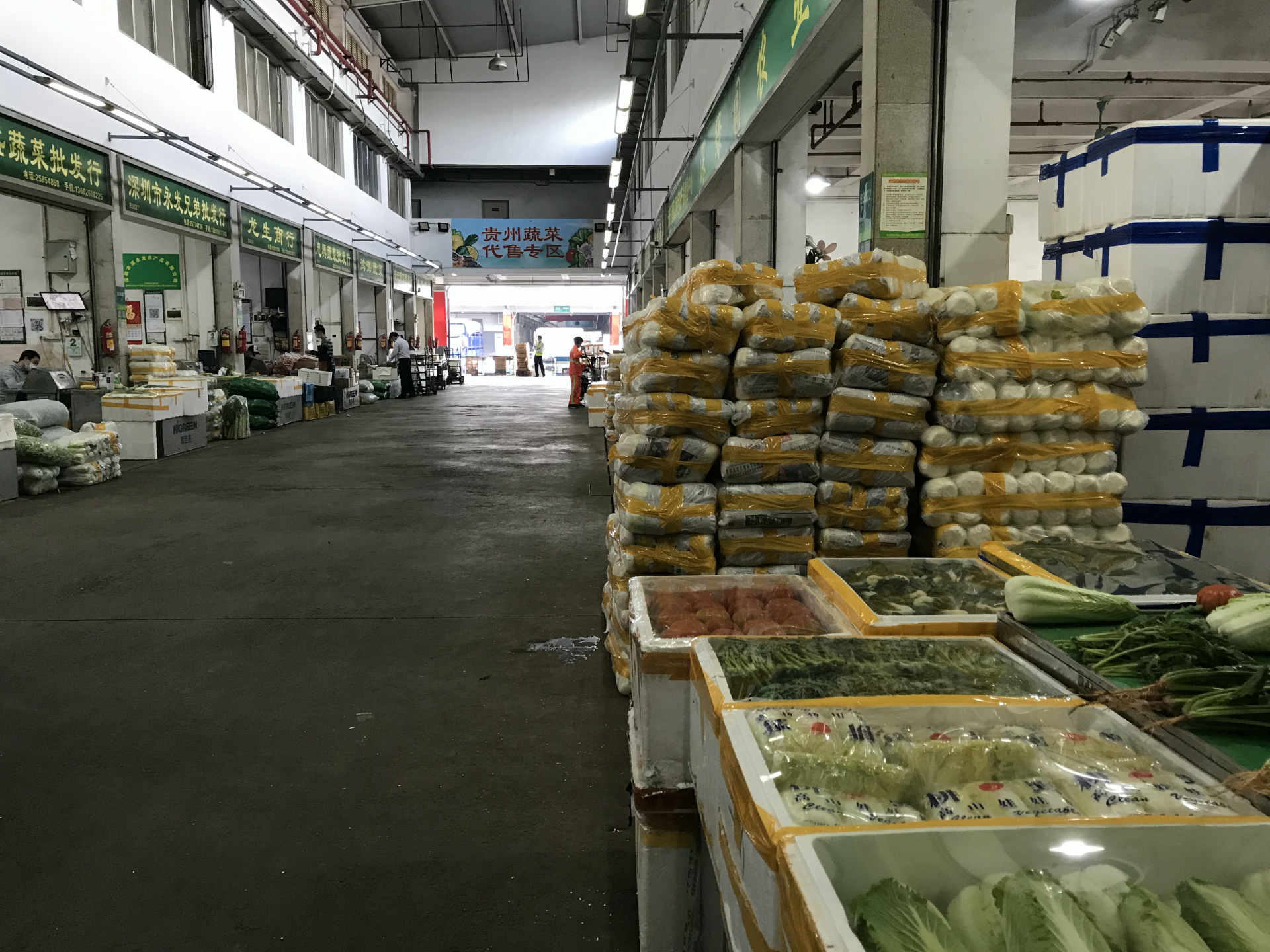 新春走基层丨1天超3万吨!感受寿光“菜篮子”的保供力