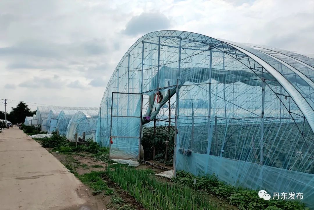 新春走基层丨1天超3万吨！感受寿光“菜篮子”的保供力