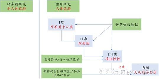 通化东宝:减肥产品研发获重要进展 GLP-1/GIP管线Ib期临床试验减重数据亮眼