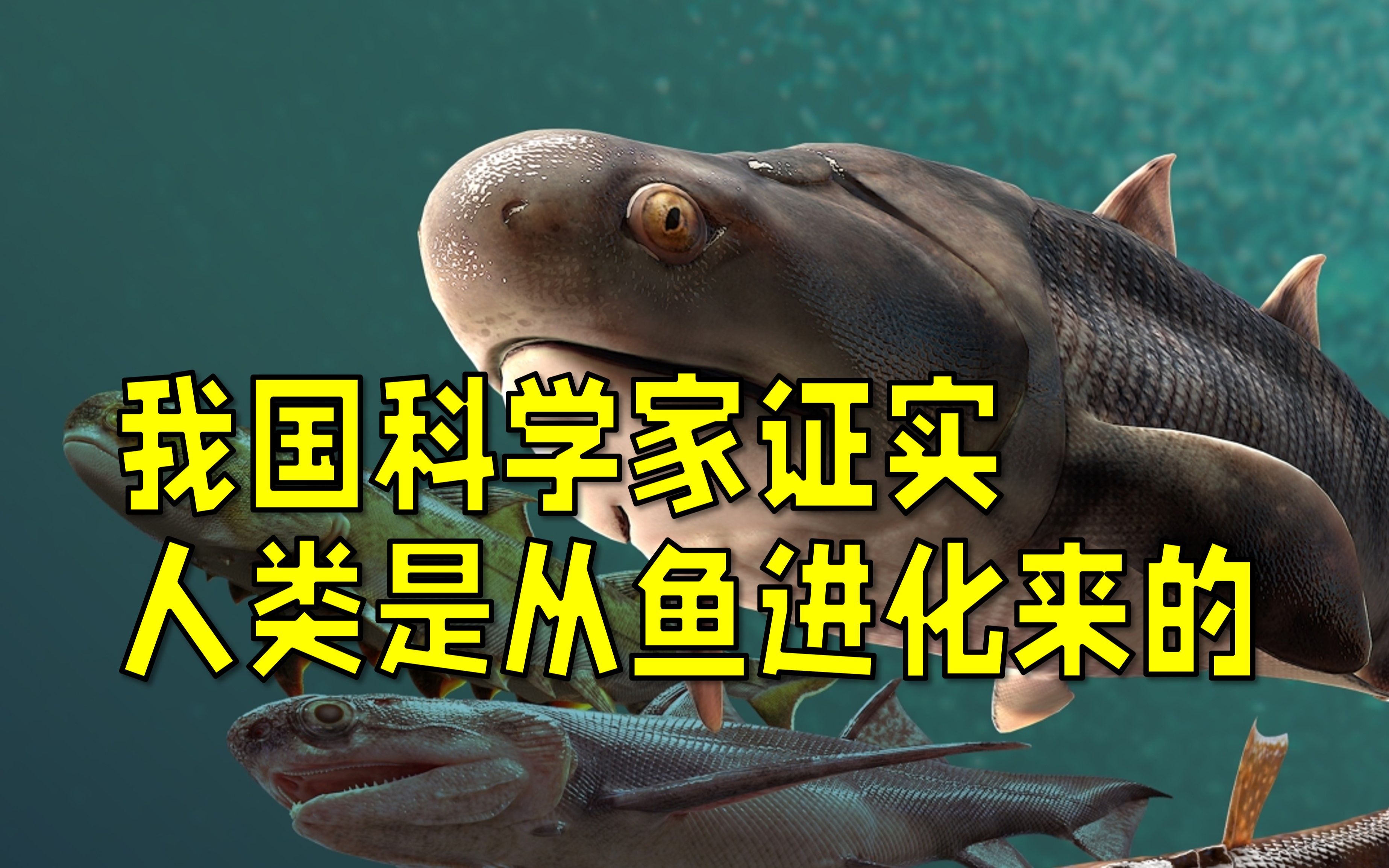 我国科学家在“连续变量”集成光量子芯片领域实现新突破