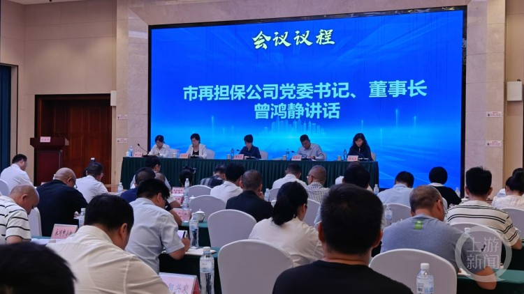 六部门印发办法推动政府性融资担保高质量发展