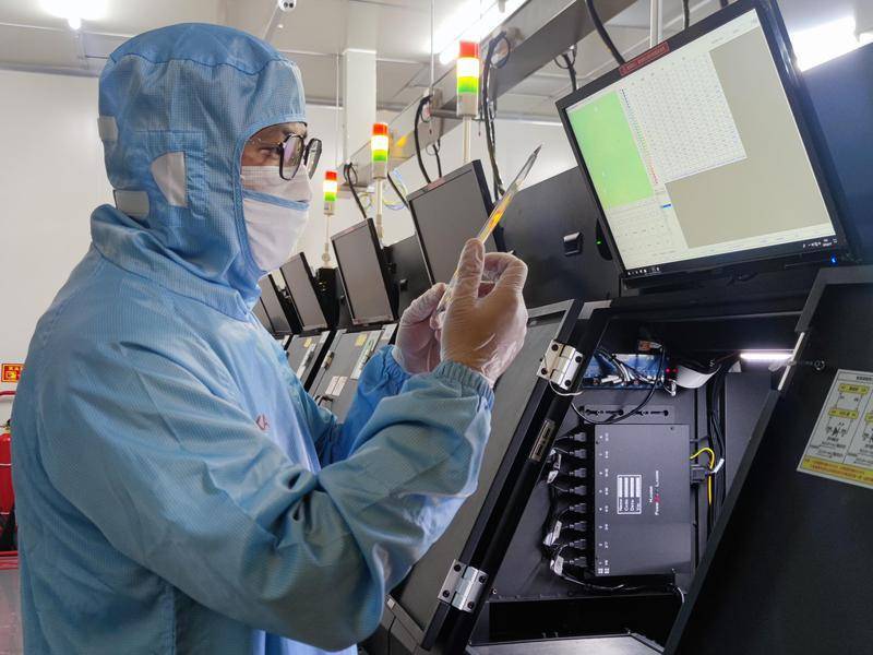 报效祖国 建功西部|西部特色产业“拔节生长”,科技创新助力弯道超车