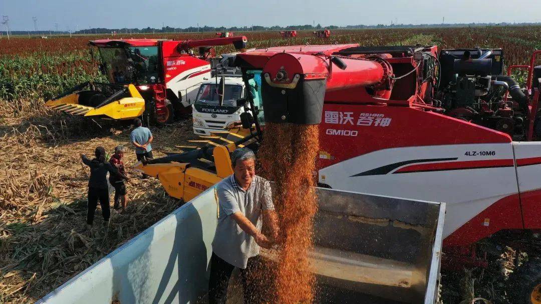 农业农村部:抓好八方面工作 落实中央一号文件部署