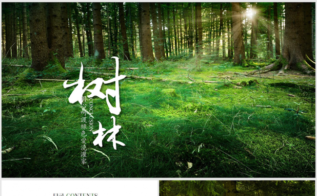 清新环境总裁李其林：生态环境产业将向绿色、低碳、循环发展全面升级