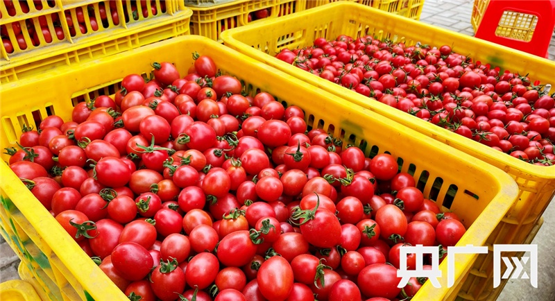 设施近民 老幼同惠 科技赋能——代表委员话“十四五”全民健身计划实施成效