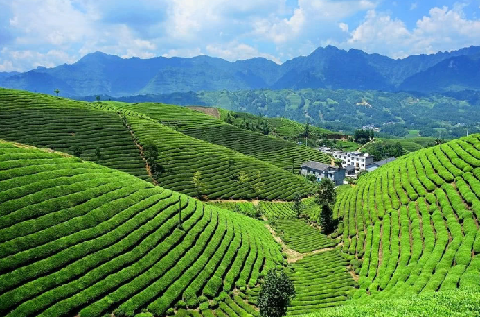 绿色创新,点燃世界现代化新引擎——“中国发展实践的文明启示”系列述评之二