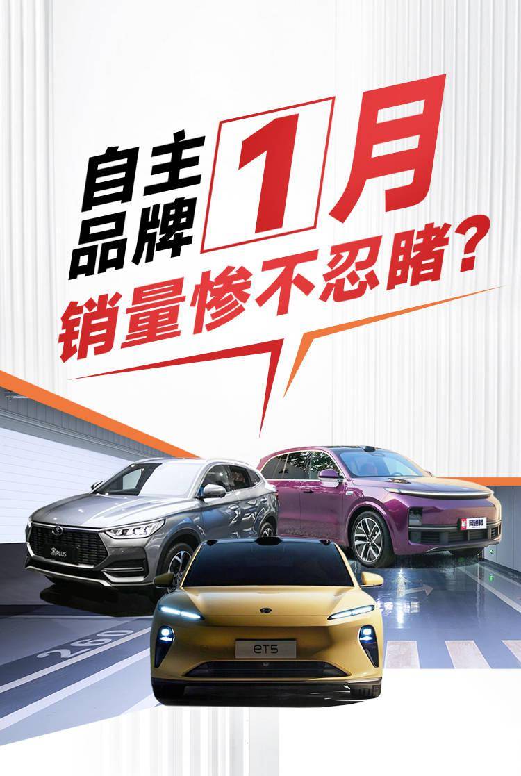 顺丰控股：2月供应链及国际业务营收52.22亿元 同比增长13.55%