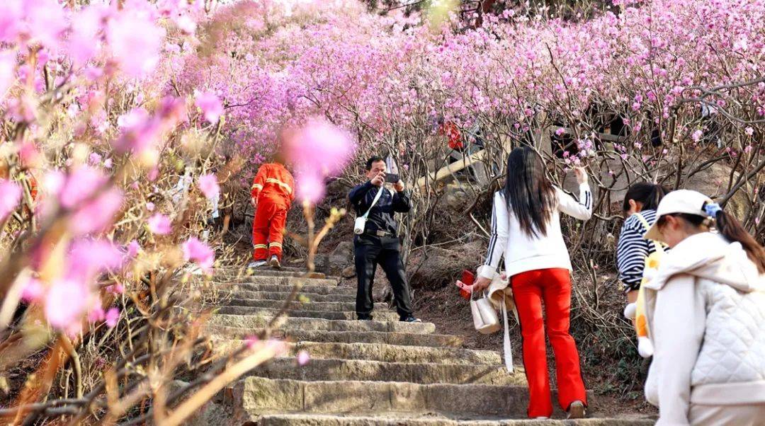 春花春菜春光催热“春日经济”