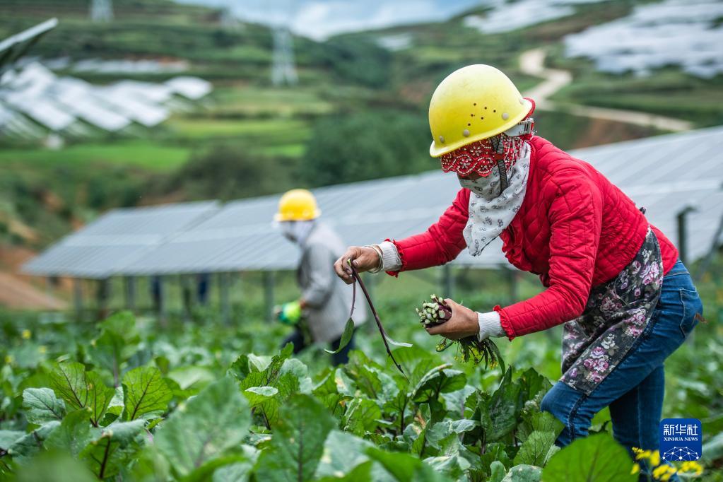 凯发电气：2024年实现营业收入22.12亿元 同比增长10.57%