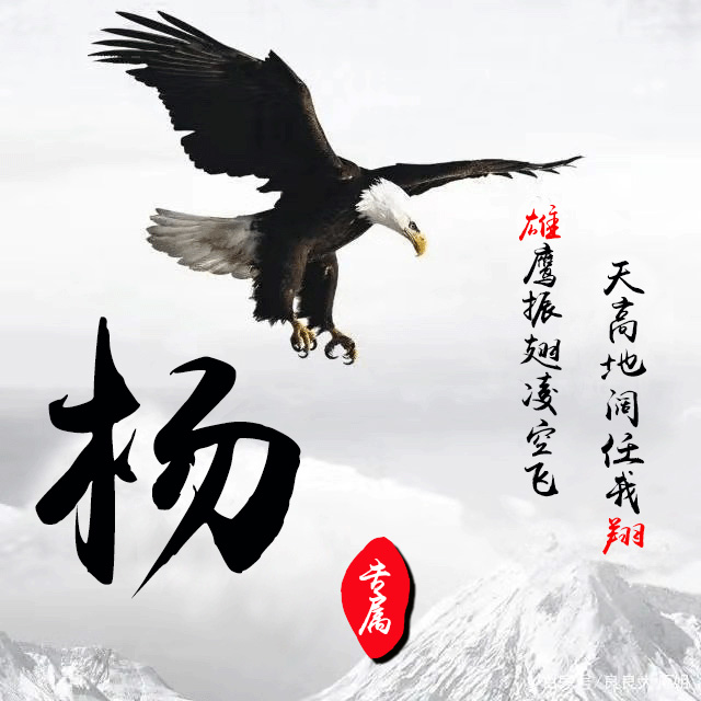 雄鹰振翅启新程——山东以奋进之姿“闯”新路“攀”高峰