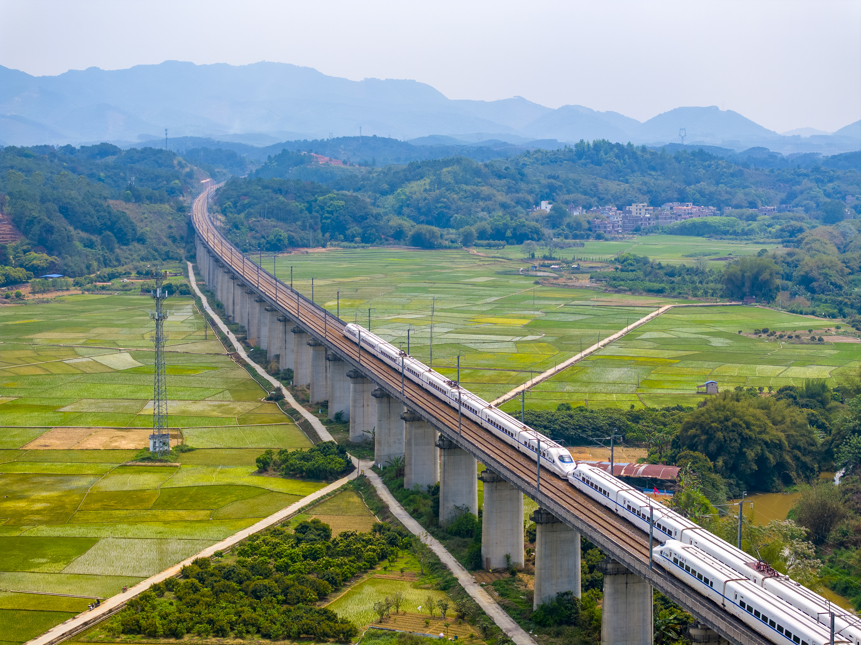 首季中国经济观察丨广袤沃野逐春光——首季中国经济一线调研报告之七