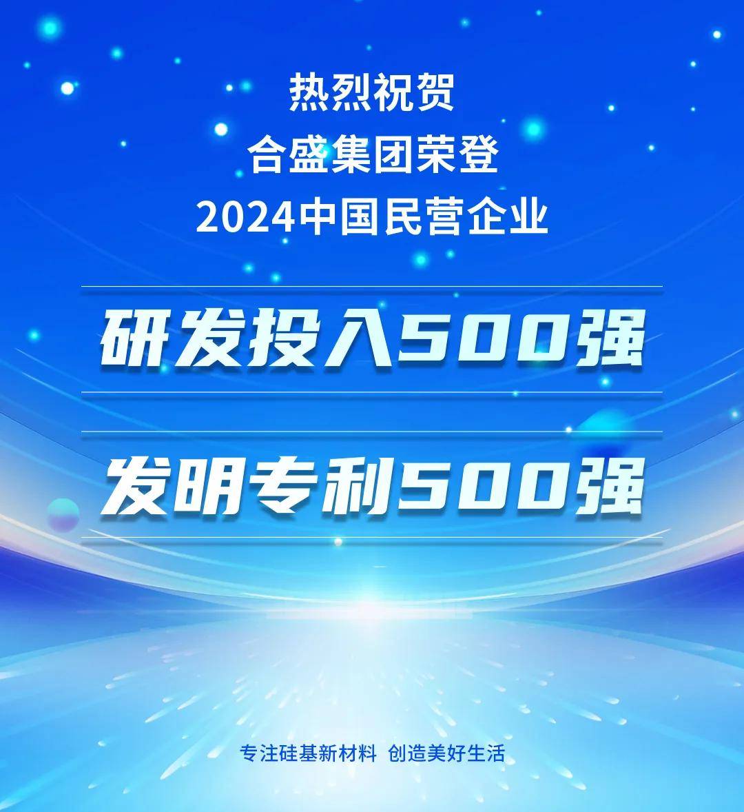 合盛硅业2024年营收创历史新高