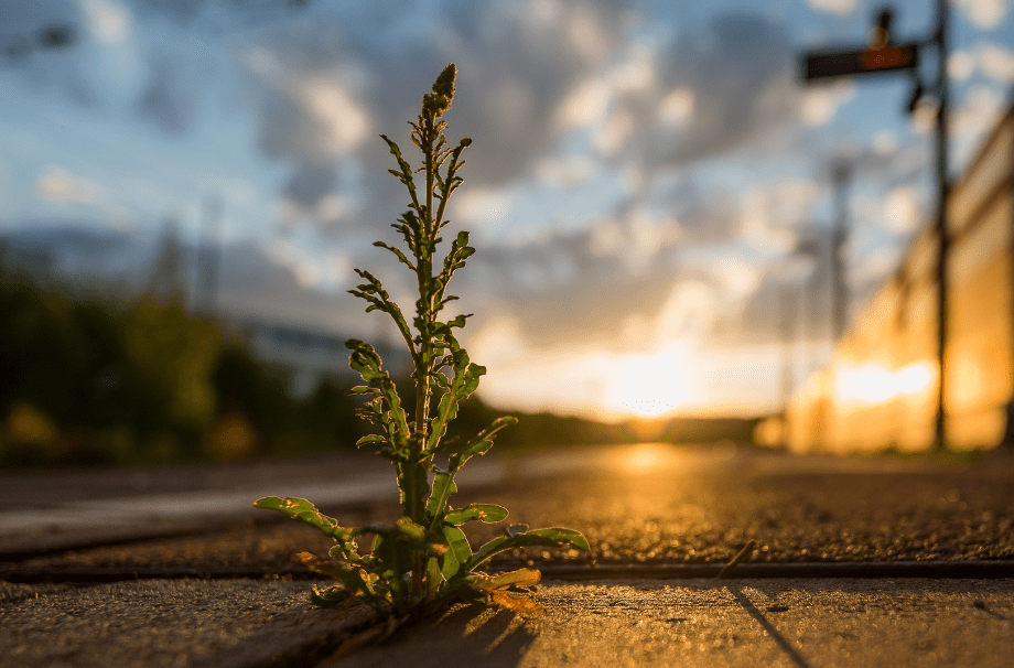 多重利好叠加 医药主题基金“苦尽甘来”