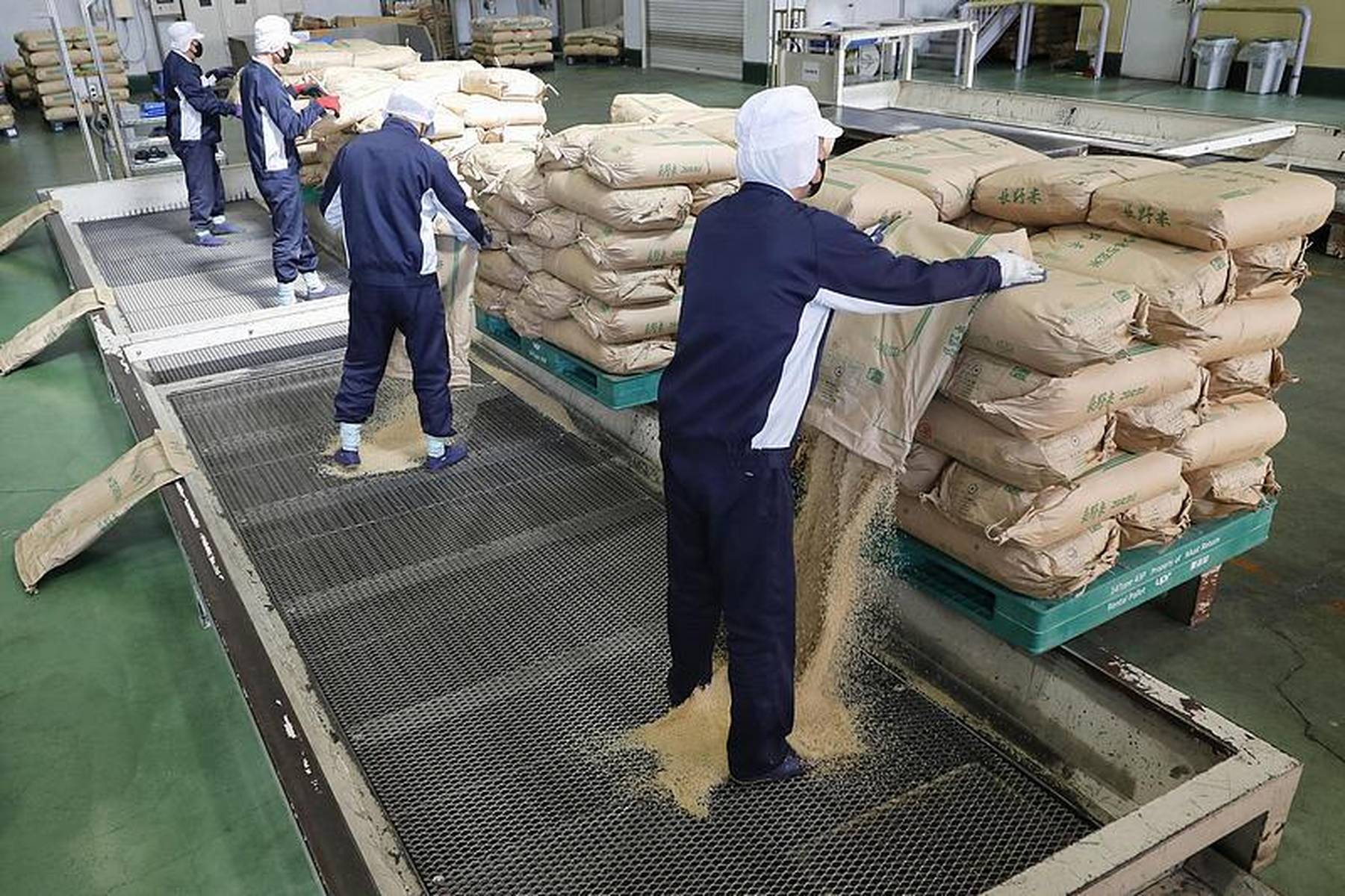 日本大米零售价格连续16周上涨