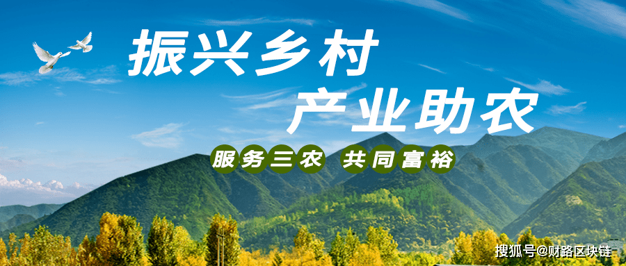 湖北试点涉农信用价值贷款助力乡村全面振兴