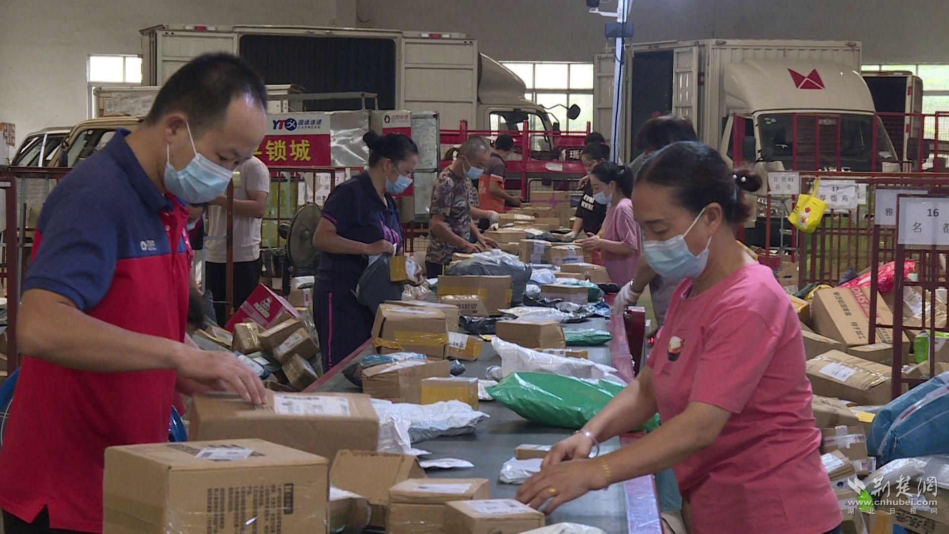 洋河股份：2024年实现净利润66.73亿元 多措并举应对行业竞争