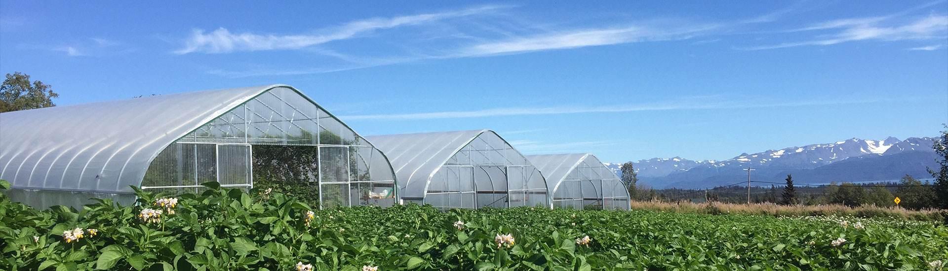 天地在线：引入国资战投 携手共筑数字文化生态新蓝图