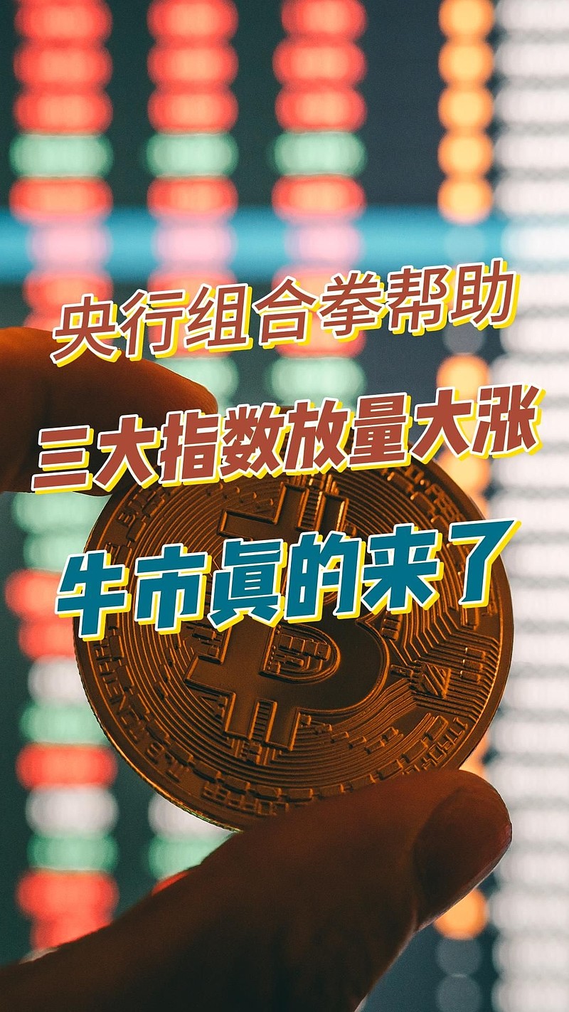 见证“超级投资个体”的诞生——专访讯兔科技创始人李罗丹