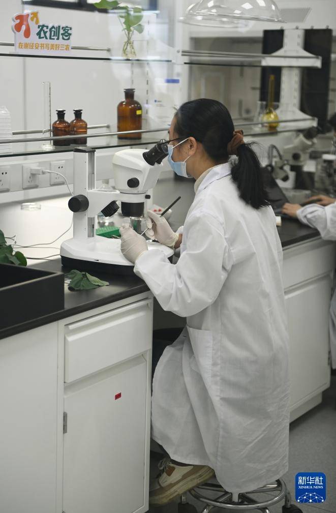 富荣基金：破局与重构 探索高质量发展路径