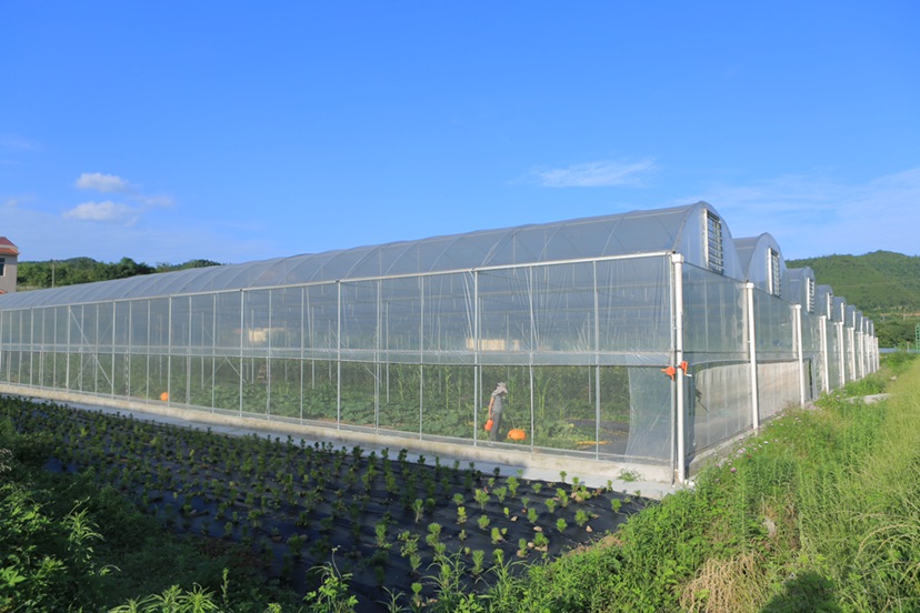 江苏南通：微电网助力企业“绿色转身”