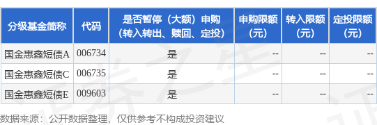 国金基金王珂：多元平衡配置 追求组合稳定性
