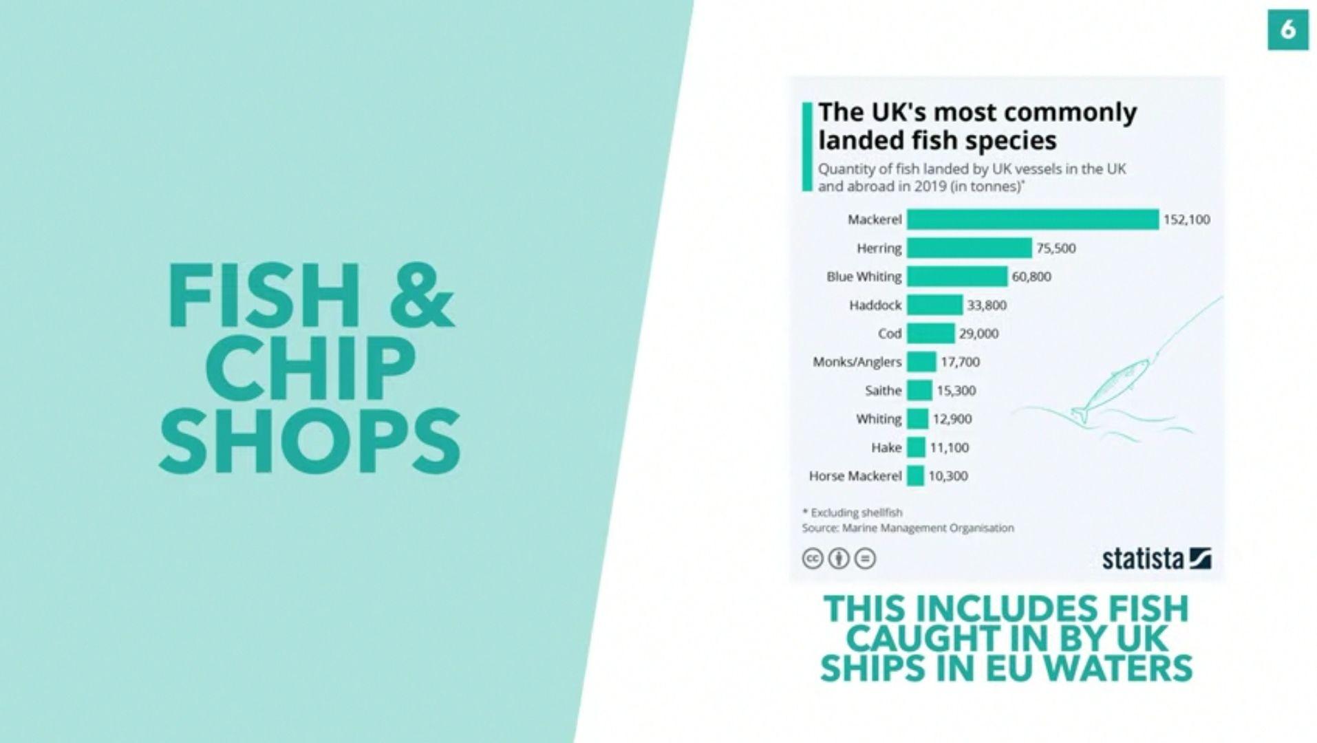 贸发会议报告:美国关税政策冲击全球渔业贸易