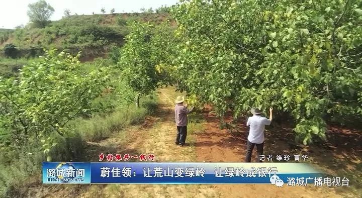 蔚能成功发行银行间首单民企绿色科技创新资产支持证券