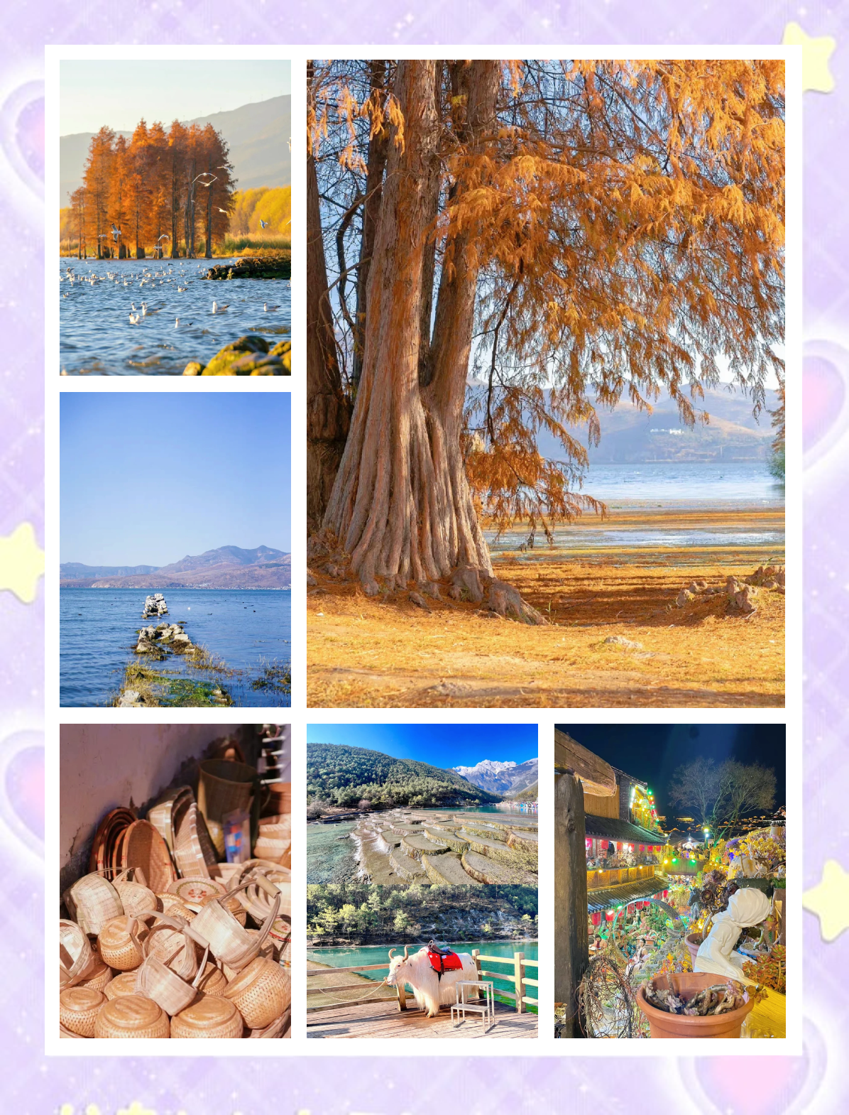 云南旅游：“文化+科技”重塑文旅新生态