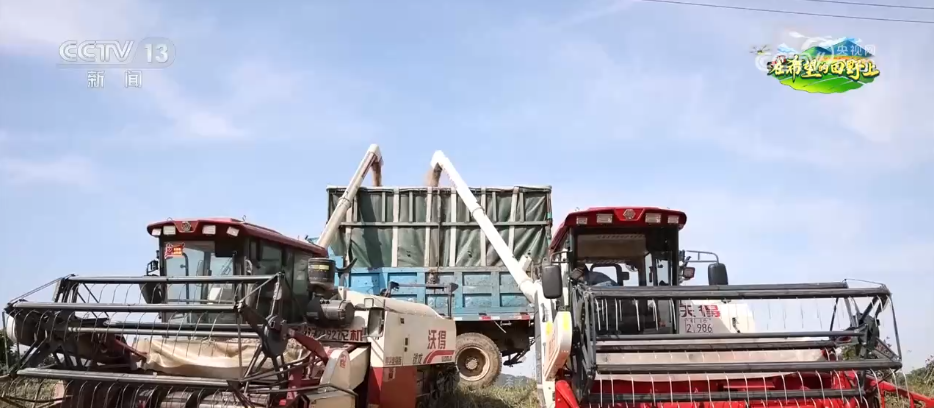 特稿丨在希望的田野上——中国农机助力非洲农业现代化