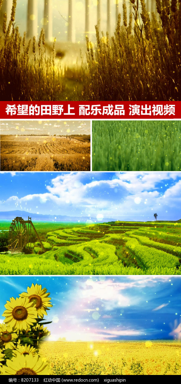 特稿丨在希望的田野上——中国农机助力非洲农业现代化