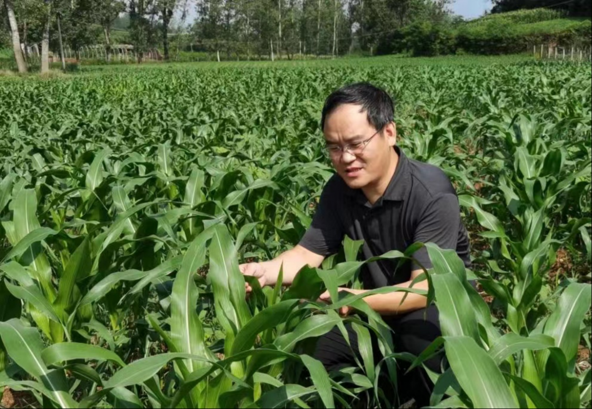 德邦证券研究所所长程强:资本市场将在支持新质生产力发展上发挥更大作用