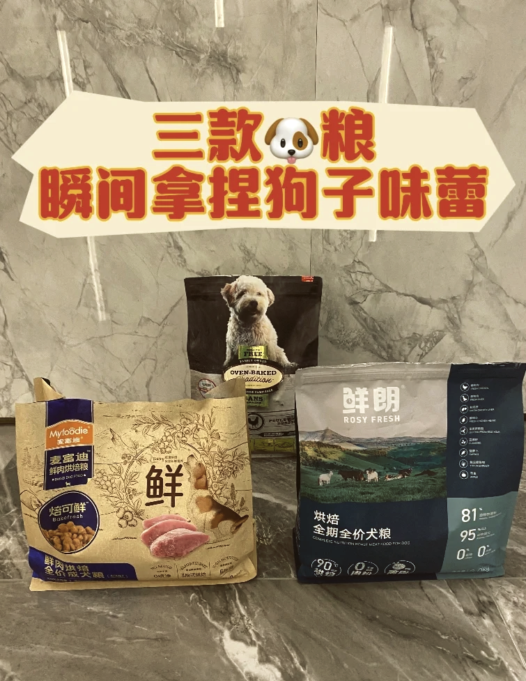 中国经济样本观察·“镇”了不起｜给全国人做面包，小面团“揉”出300亿元“烘焙产业”